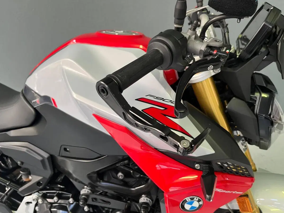 Bmw F 900 R (2017 - 20) (9)
