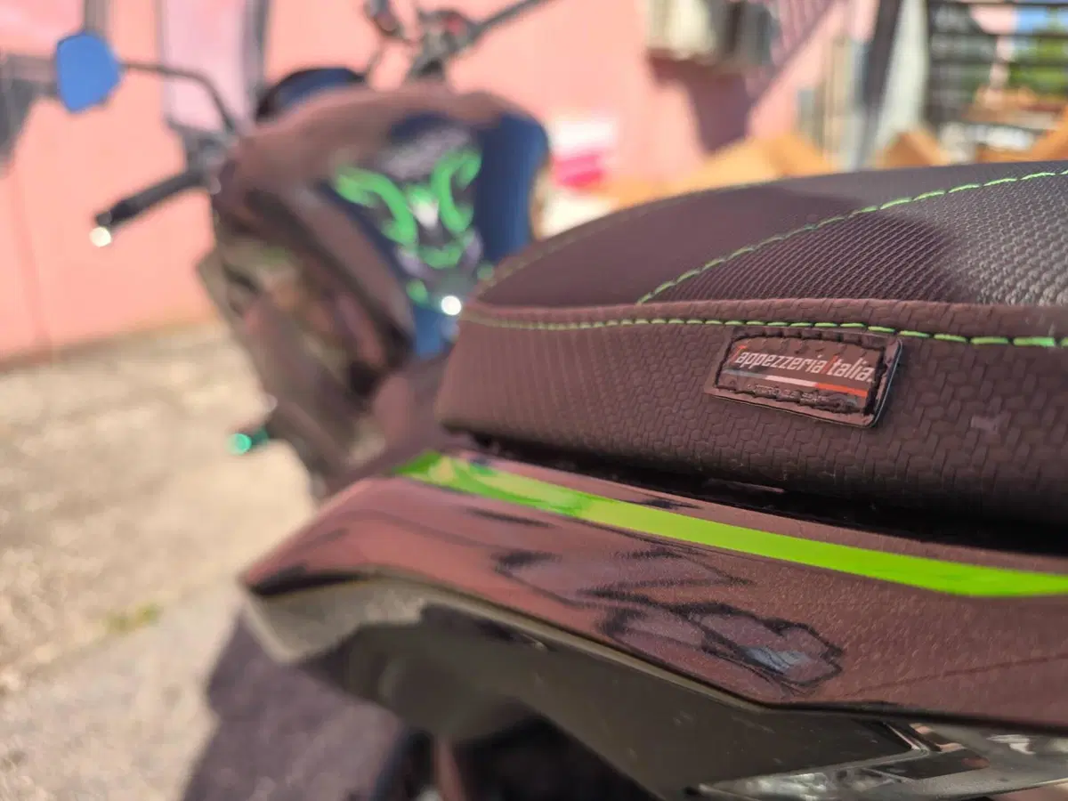 Kawasaki Z 900 SE (2022 - 24) (5)