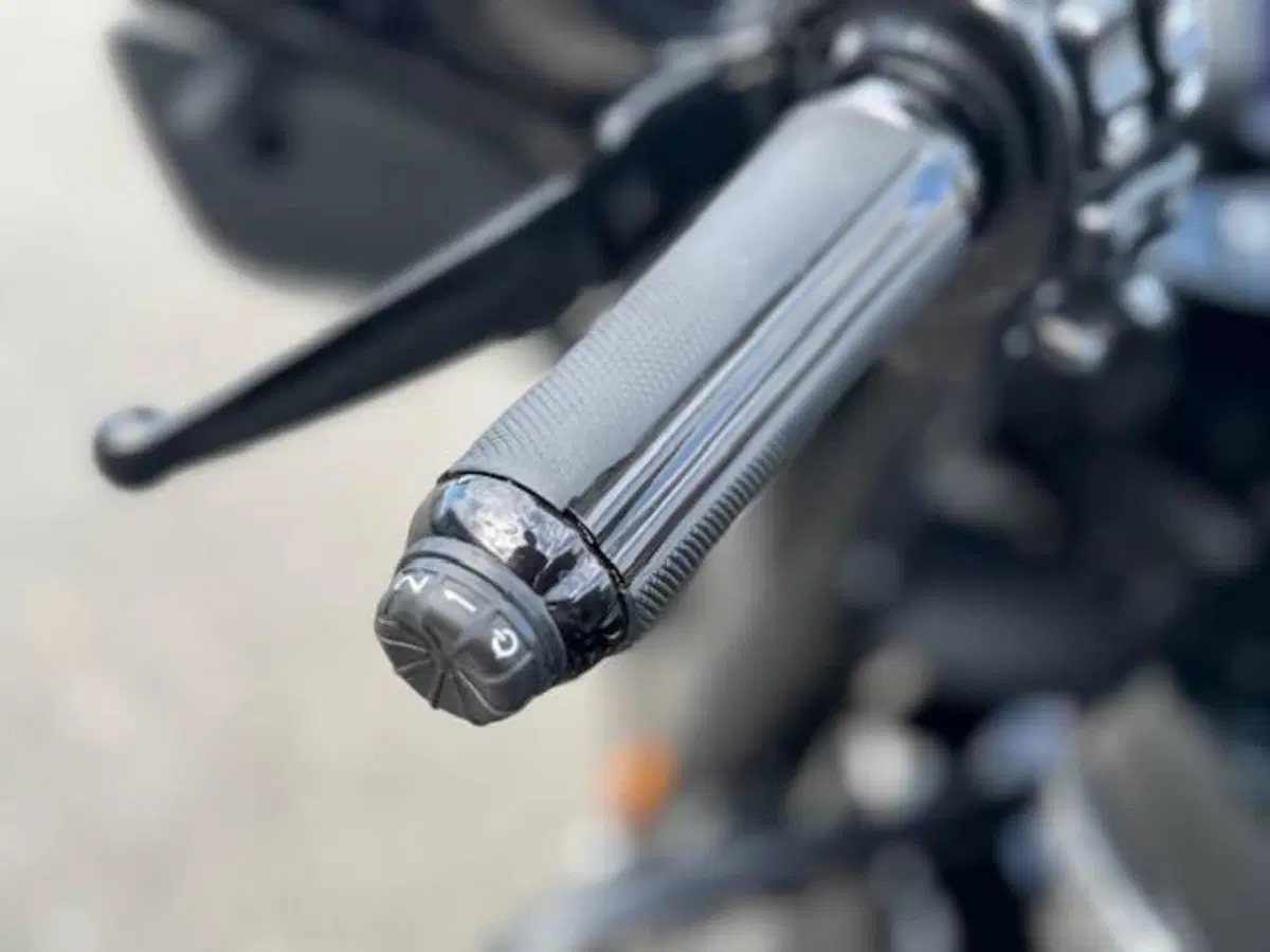 Harley-Davidson 114 Street Glide Special (2019 - 20) - FLHXS (7)