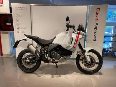 Ducati DesertX (2022 - 25) usata