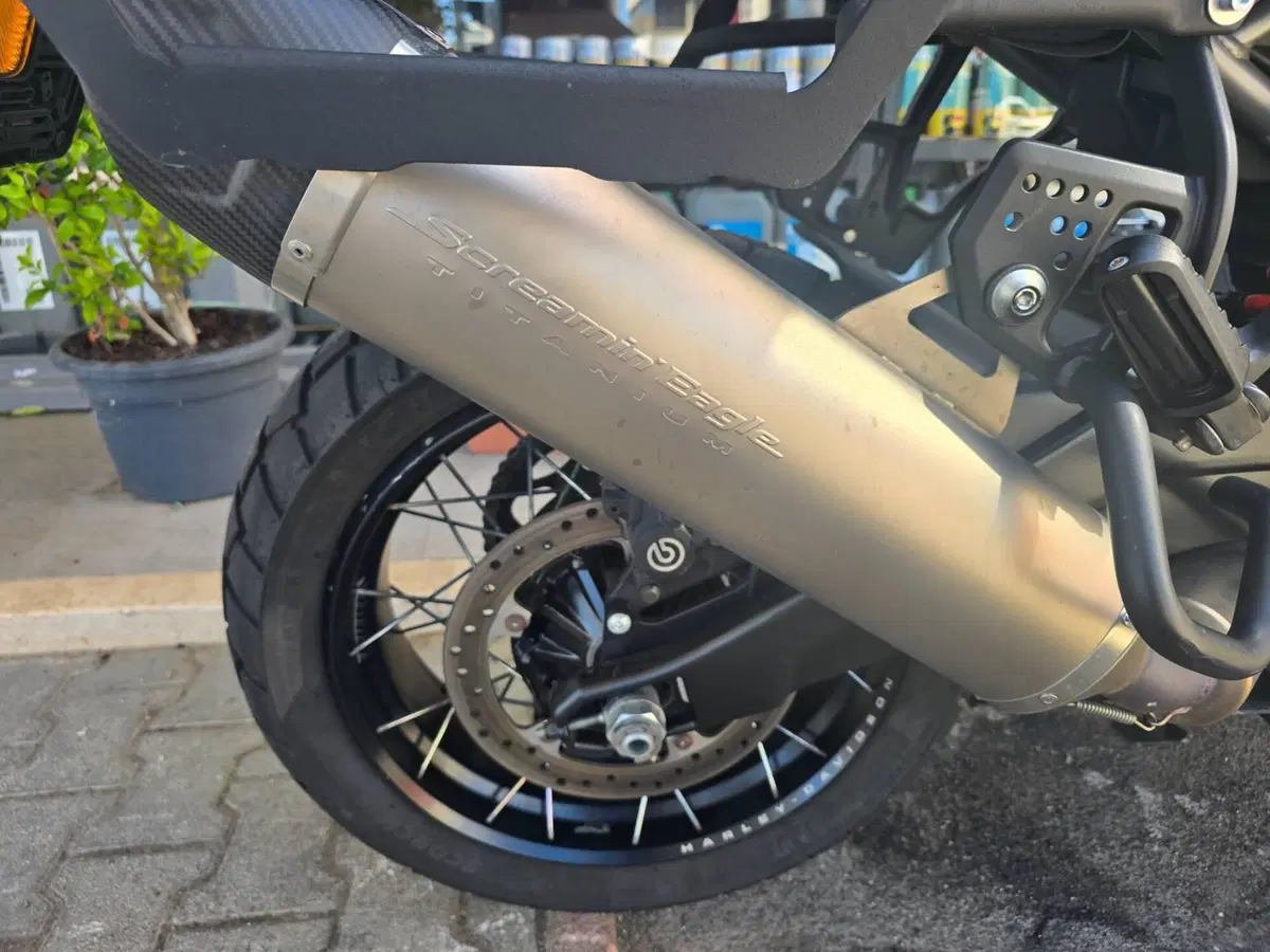 Harley-Davidson Pan America 1250 Special (2020 - 25) (8)