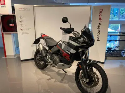 Ducati DesertX (2022 - 25) usata