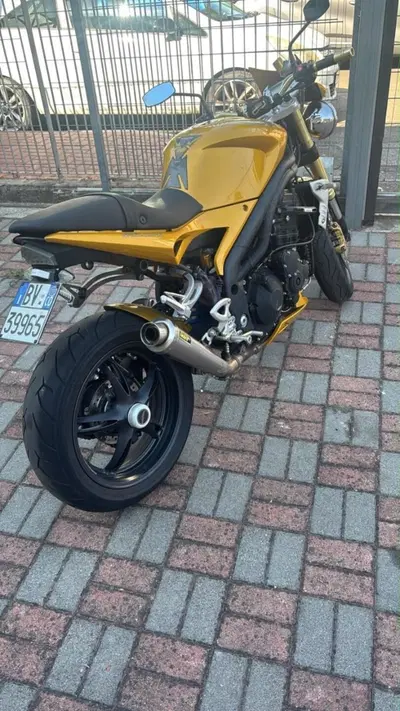 Triumph Speed Triple 1050 (2005 - 11) usata