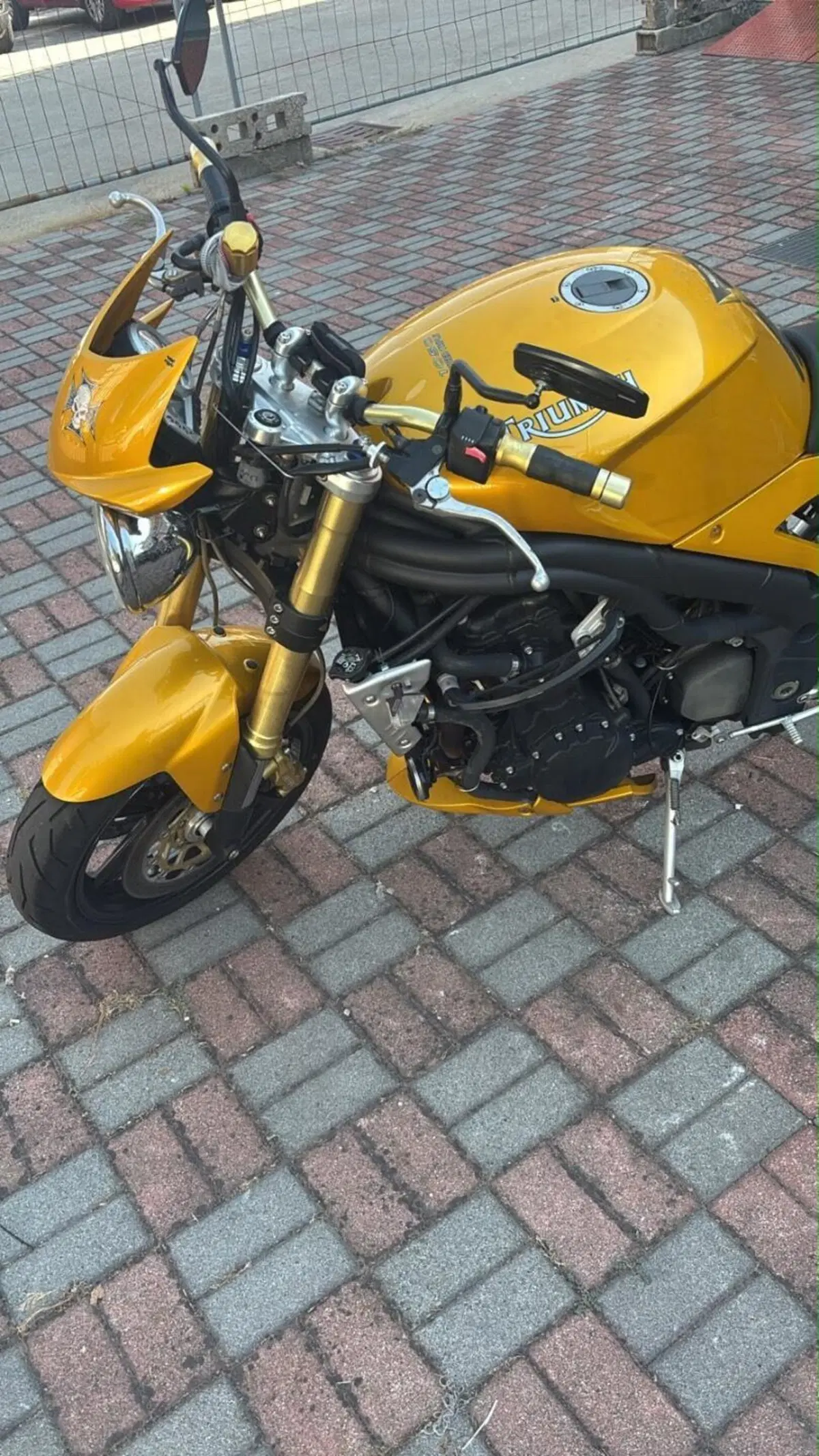 Triumph Speed Triple 1050 (2005 - 11) (2)