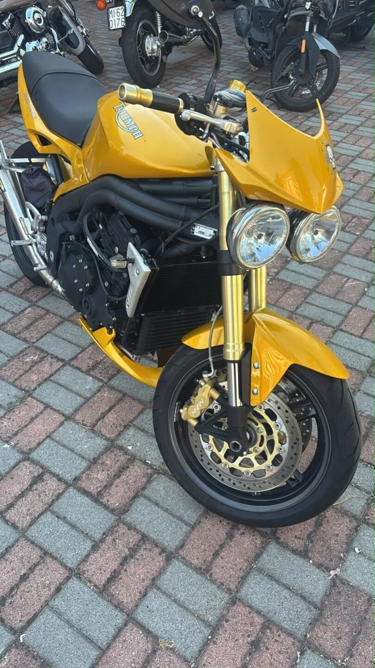 Triumph Speed Triple 1050 (2005 - 11) (3)