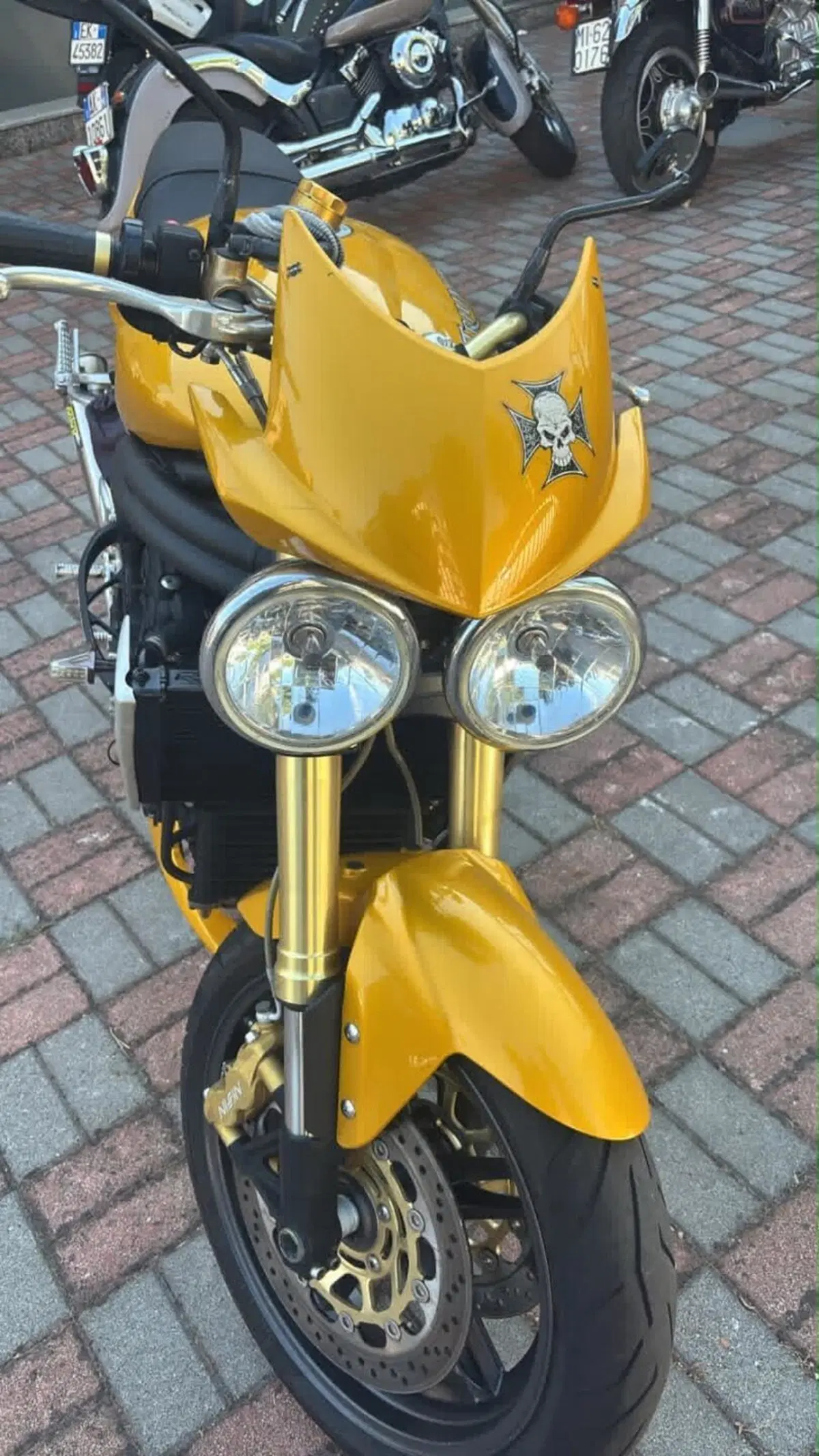 Triumph Speed Triple 1050 (2005 - 11) (4)