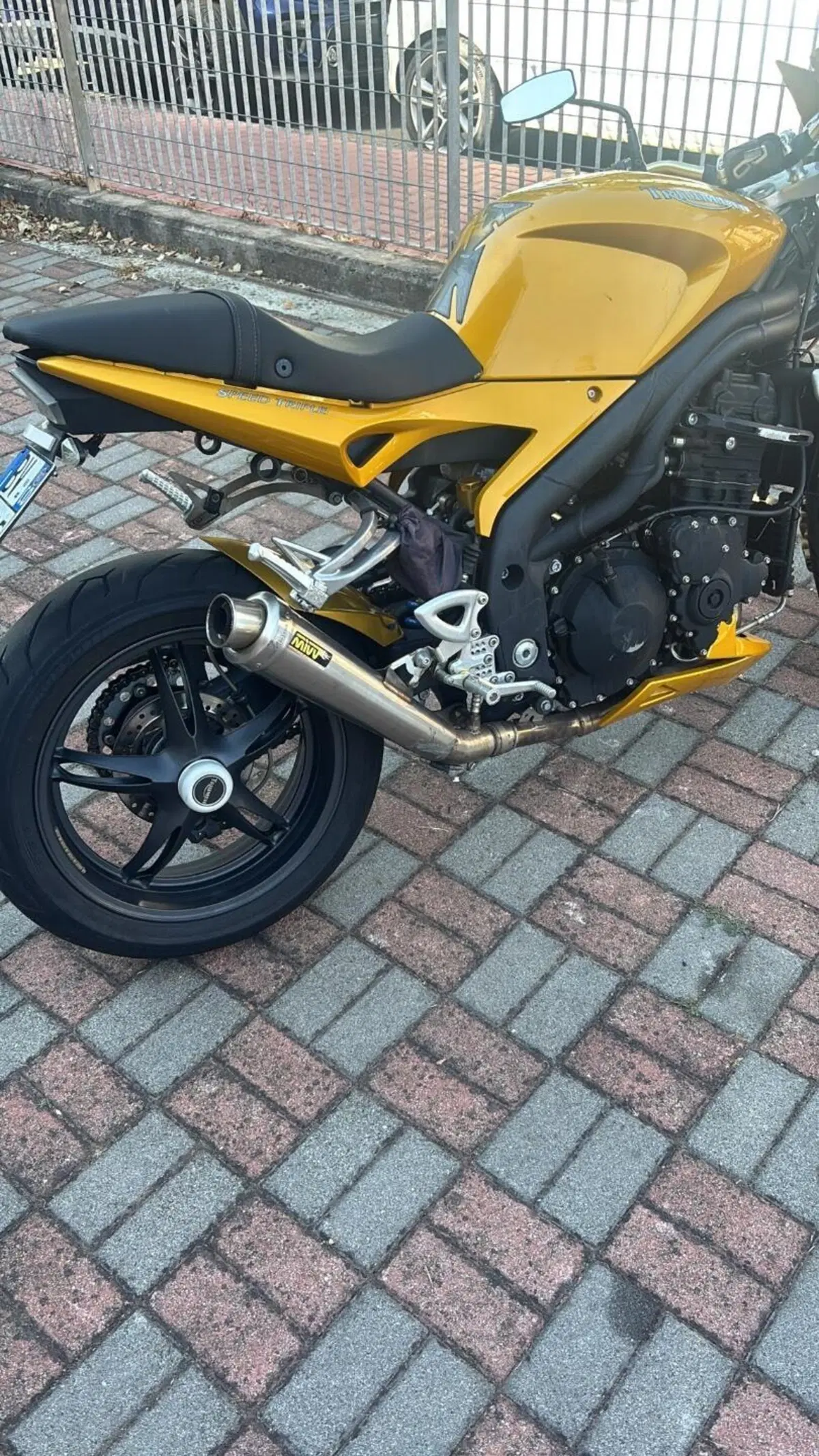 Triumph Speed Triple 1050 (2005 - 11) (6)