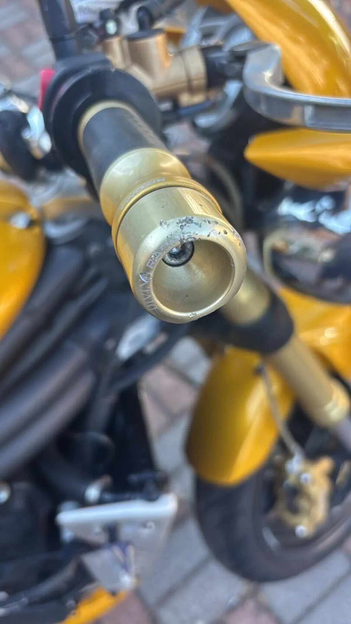 Triumph Speed Triple 1050 (2005 - 11) (8)