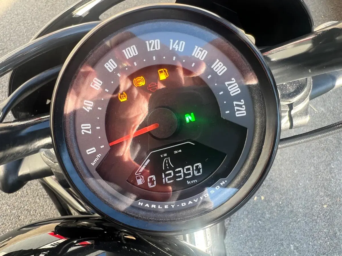 Harley-Davidson Nightster (2023 - 26) (5)