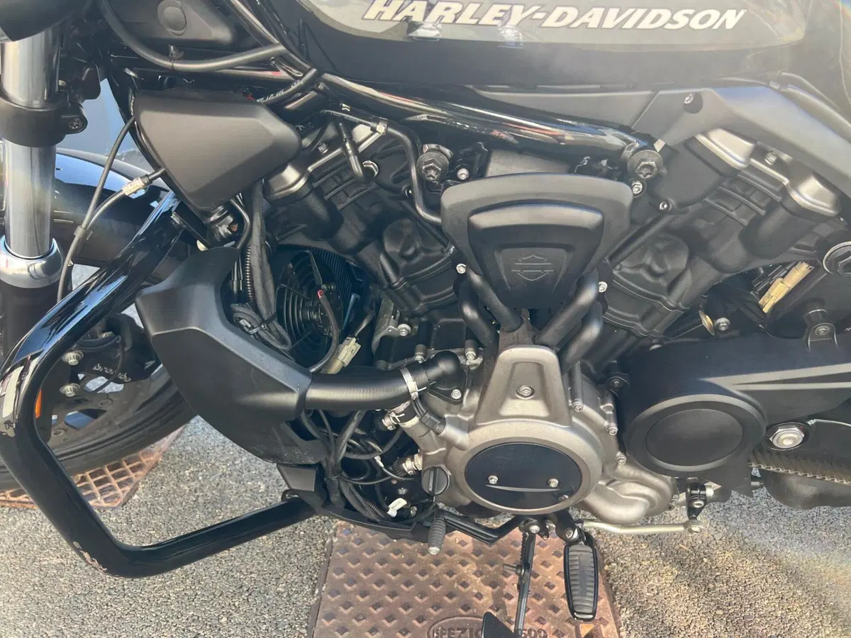 Harley-Davidson Nightster (2023 - 26) (10)