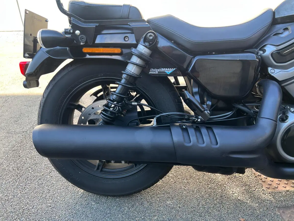 Harley-Davidson Nightster (2023 - 26) (12)