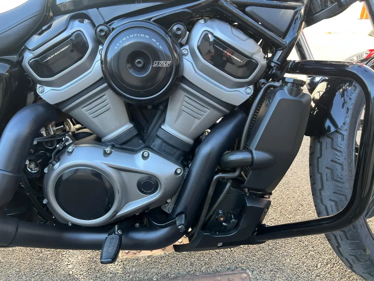 Harley-Davidson Nightster (2023 - 26) (13)