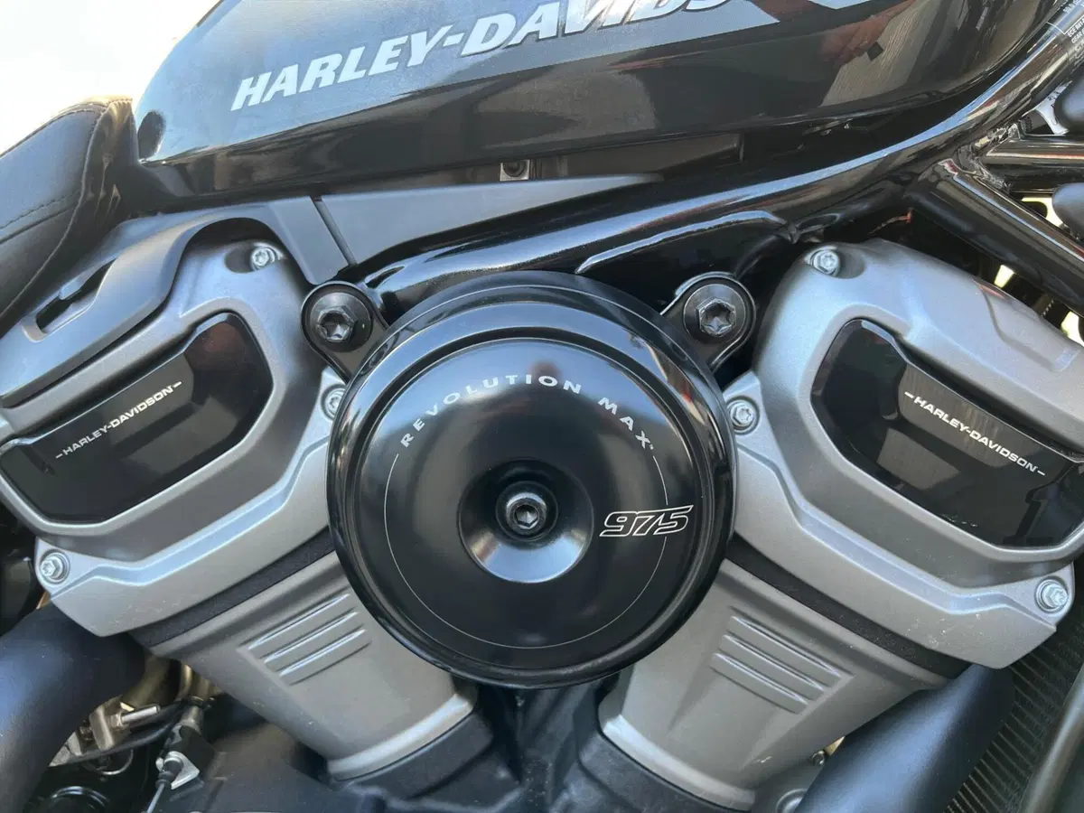 Harley-Davidson Nightster (2023 - 26) (14)