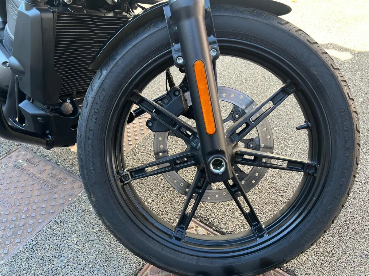 Harley-Davidson Nightster (2023 - 26) (15)
