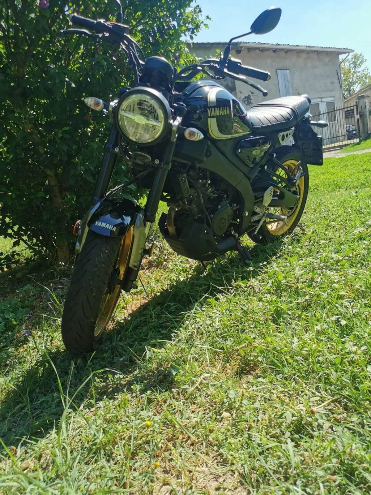 Yamaha XSR 125 Legacy (2022 - 24)