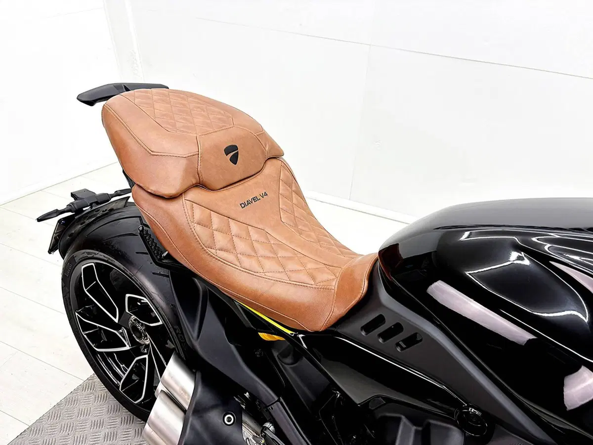 Ducati Diavel V4 (2023 - 26) (18)