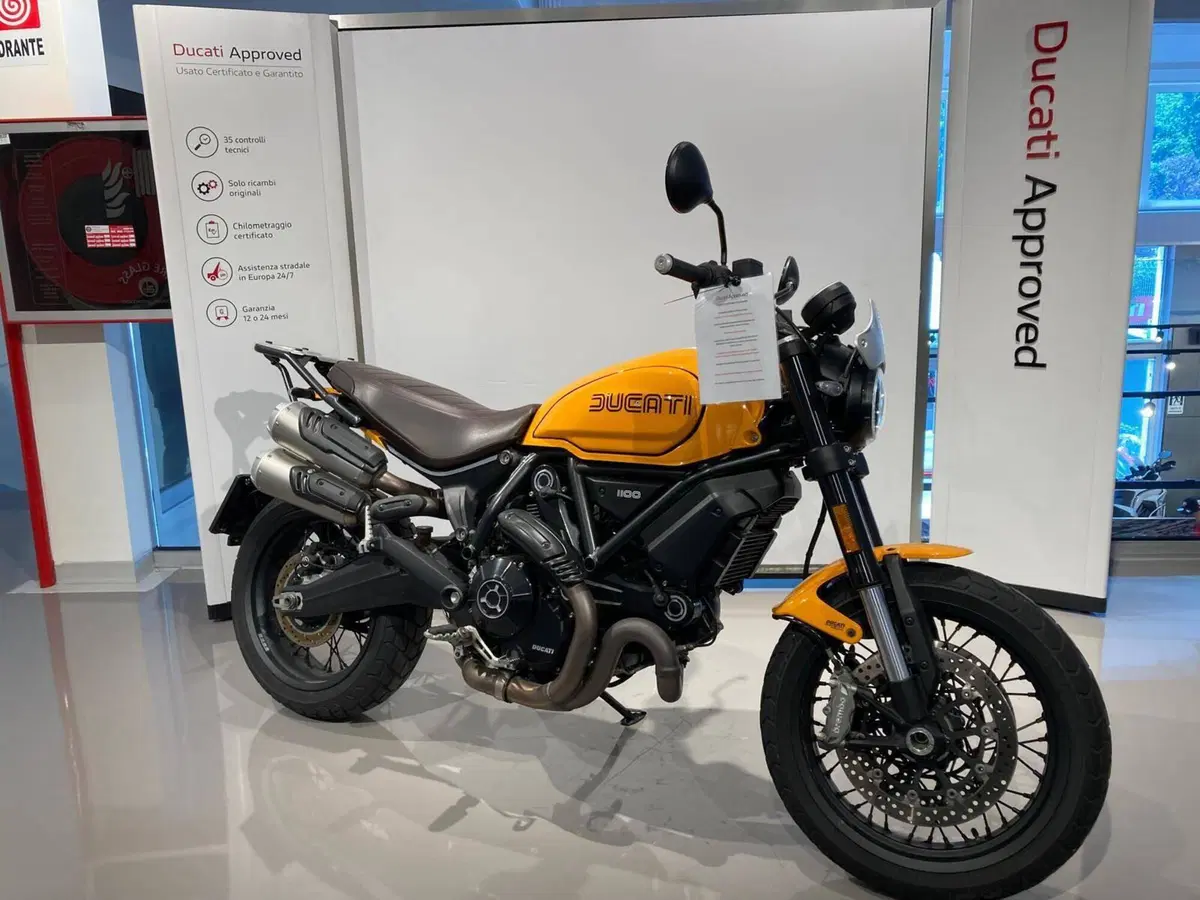 Ducati Scrambler 1100 Tribute Pro (2022 - 24) (4)