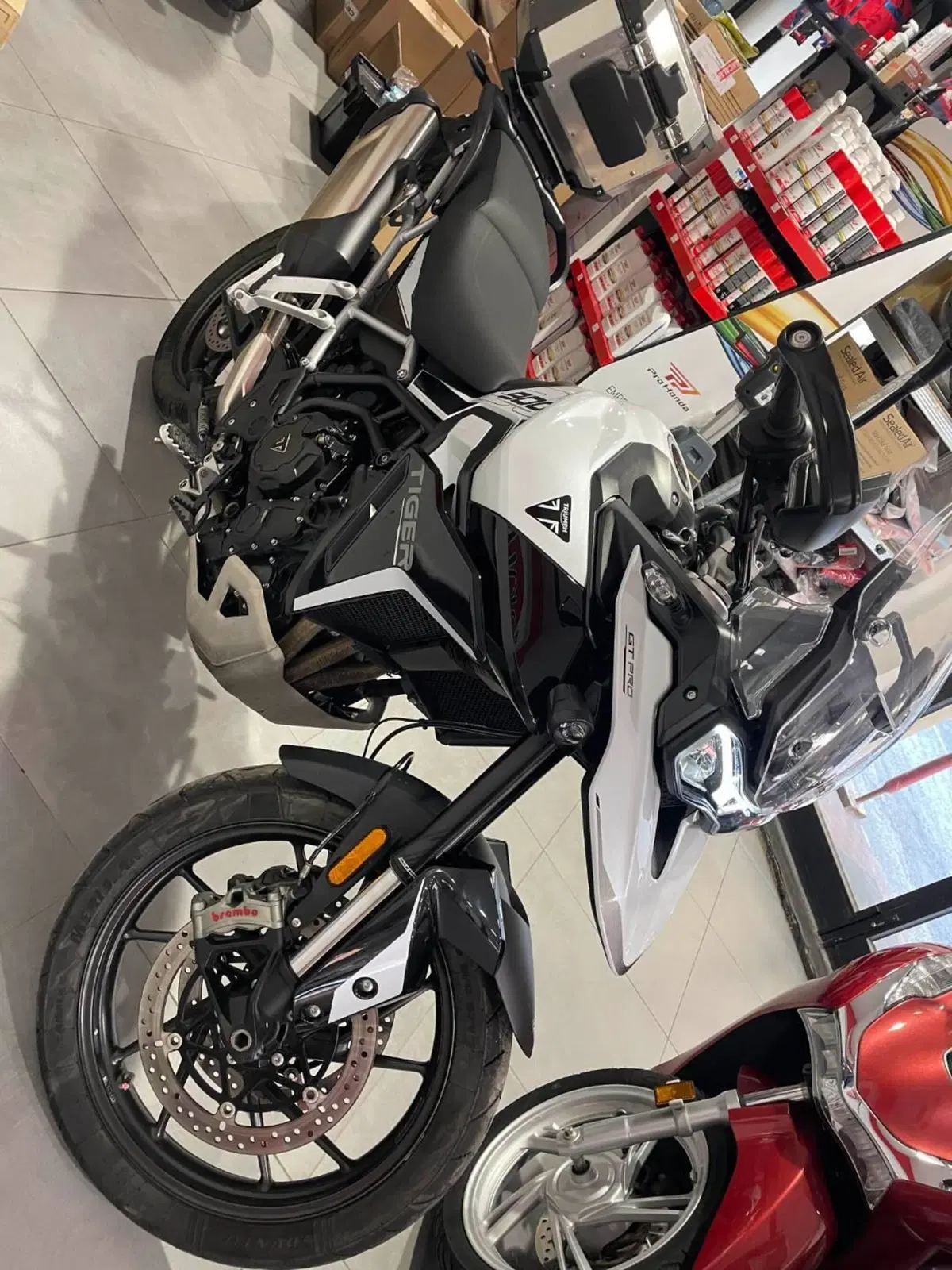 Triumph Tiger 900 GT Pro (2024 - 26) (7)
