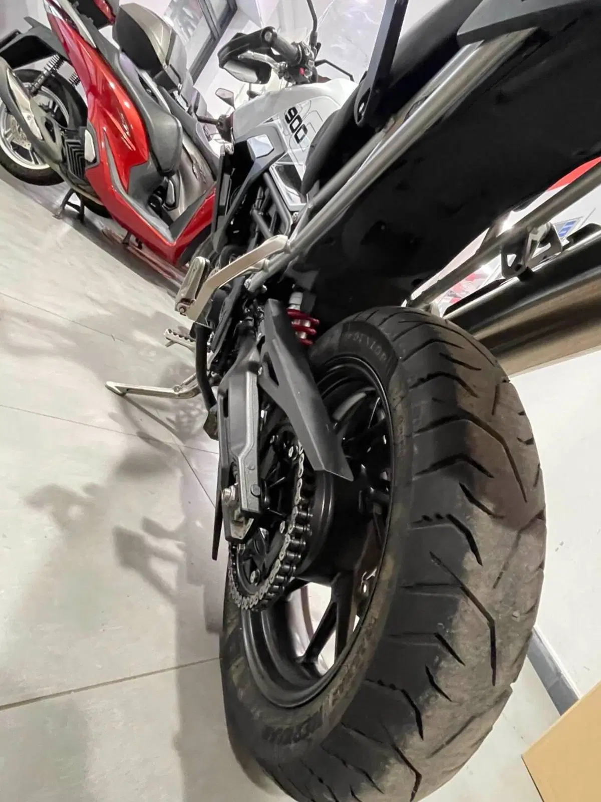 Triumph Tiger 900 GT Pro (2024 - 26) (13)