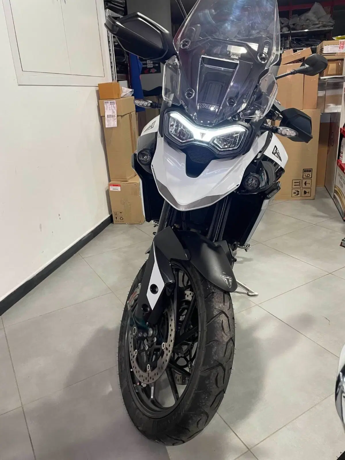Triumph Tiger 900 GT Pro (2024 - 26) (15)