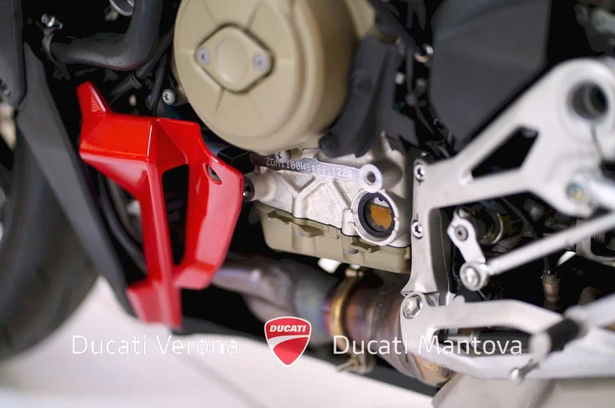 Ducati Streetfighter V4 S (2025 - 26) (15)