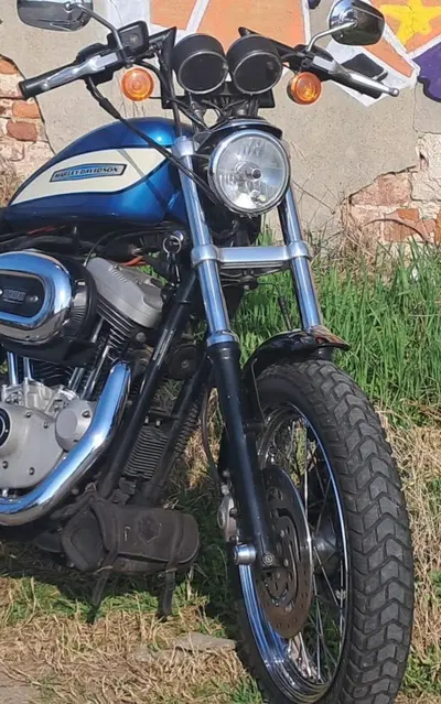 Harley-Davidson 1200 Roadster (2002 - 05) - XL 1200R usata