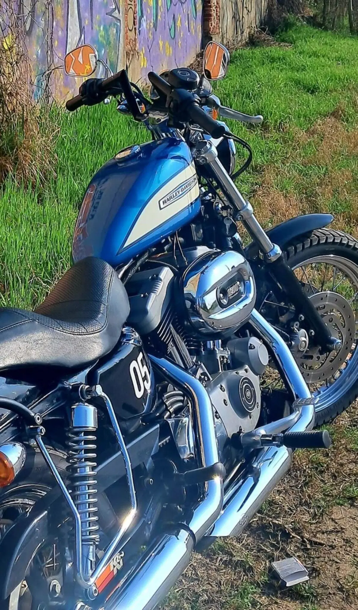 Harley-Davidson 1200 Roadster (2002 - 05) - XL 1200R (2)