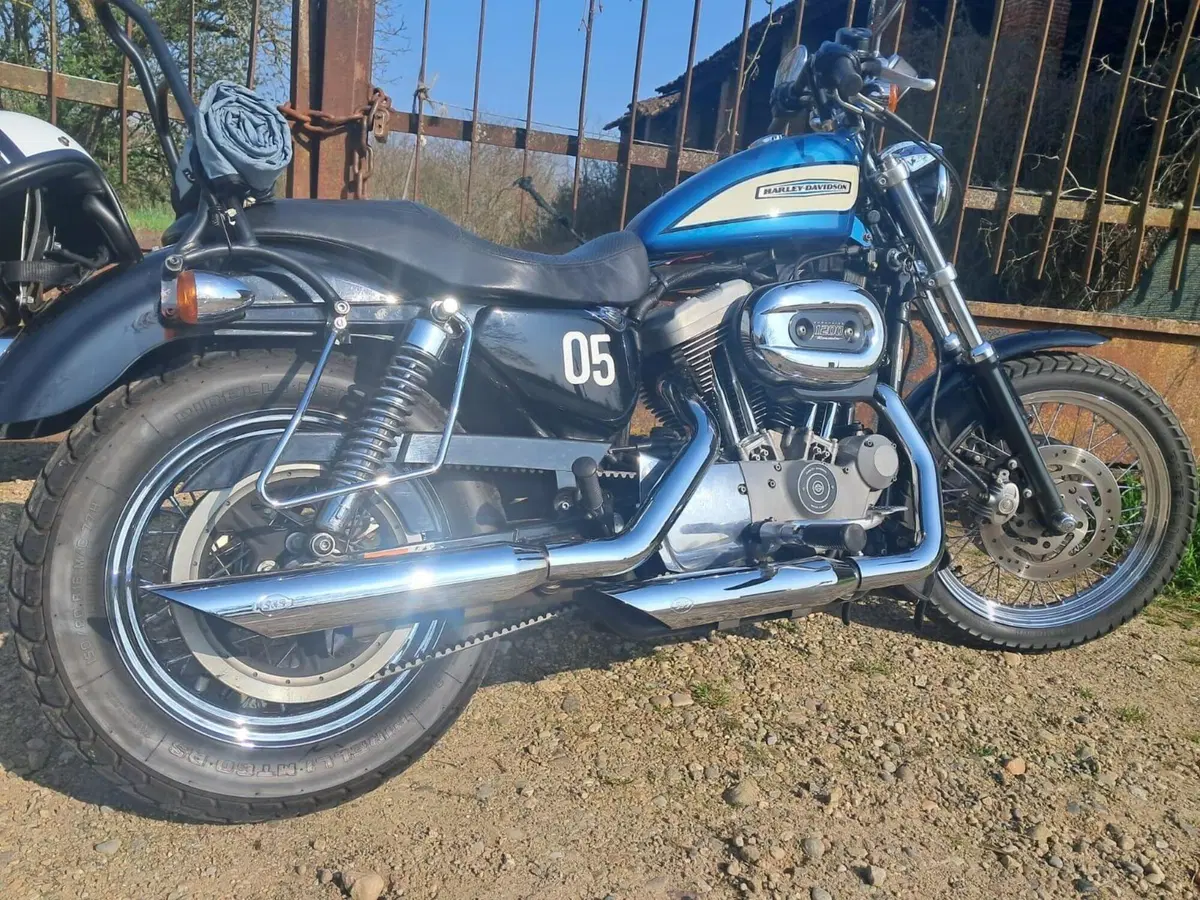 Harley-Davidson 1200 Roadster (2002 - 05) - XL 1200R (3)