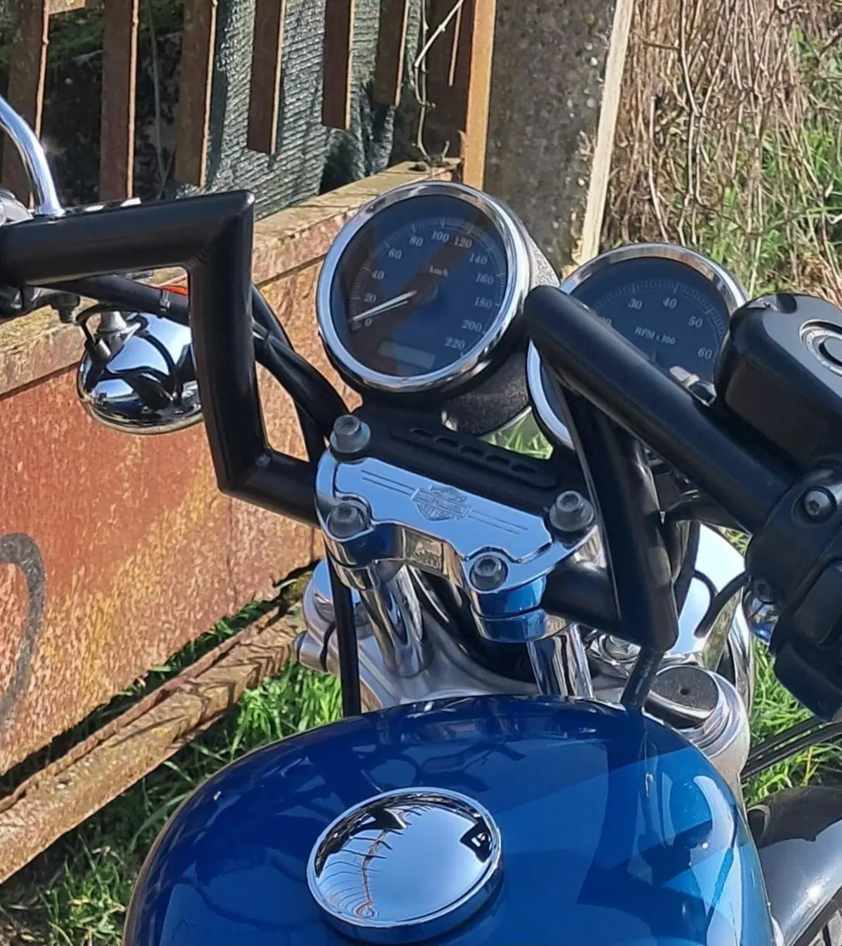 Harley-Davidson 1200 Roadster (2002 - 05) - XL 1200R (5)