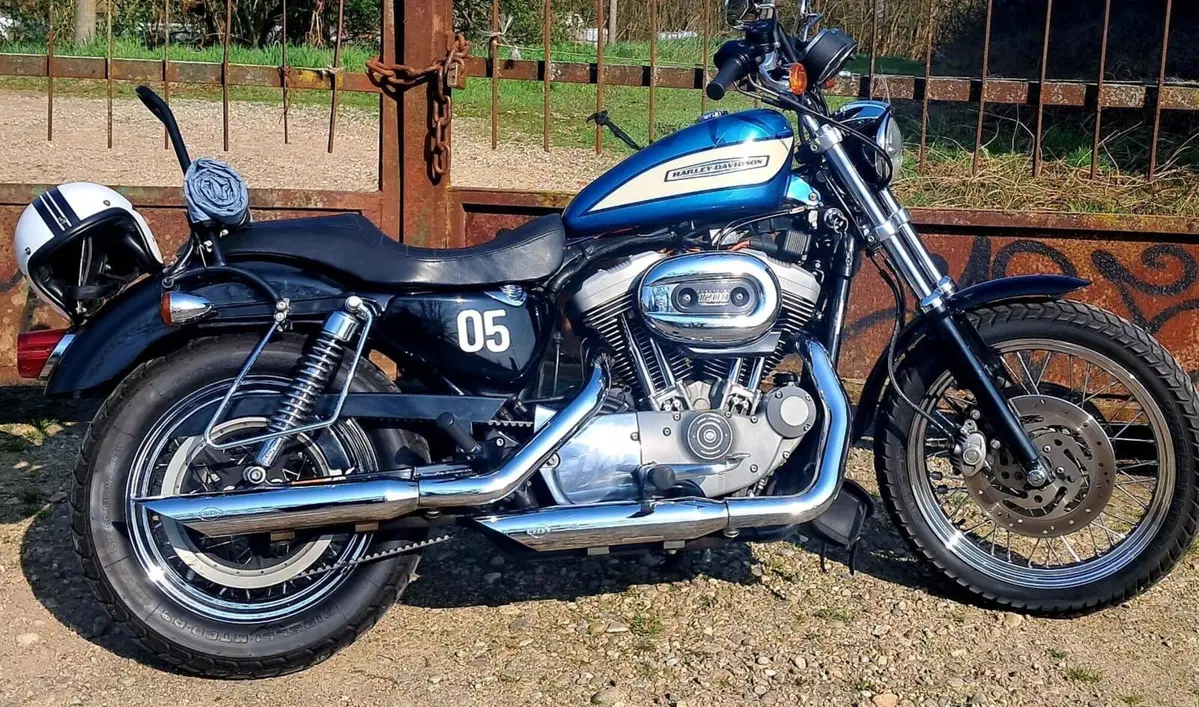 Harley-Davidson 1200 Roadster (2002 - 05) - XL 1200R (8)
