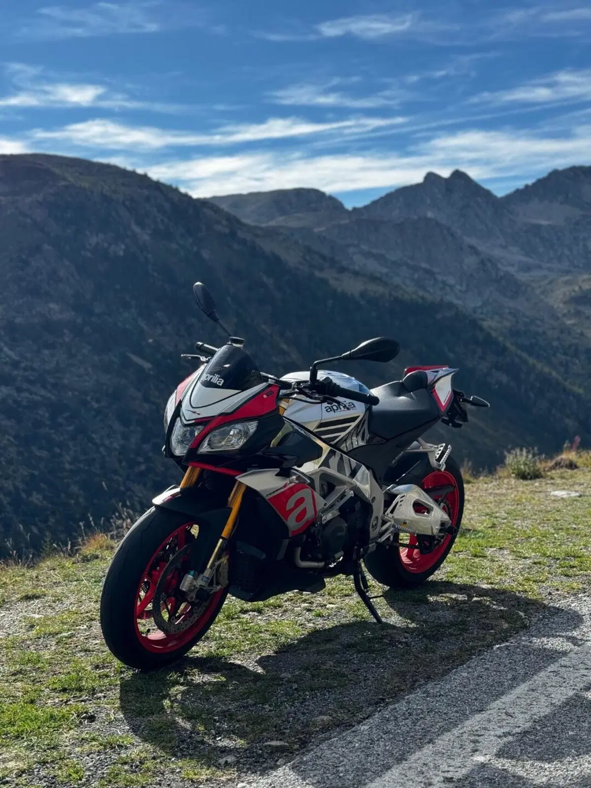 Aprilia Tuono V4 Factory (2015 - 17) (5)