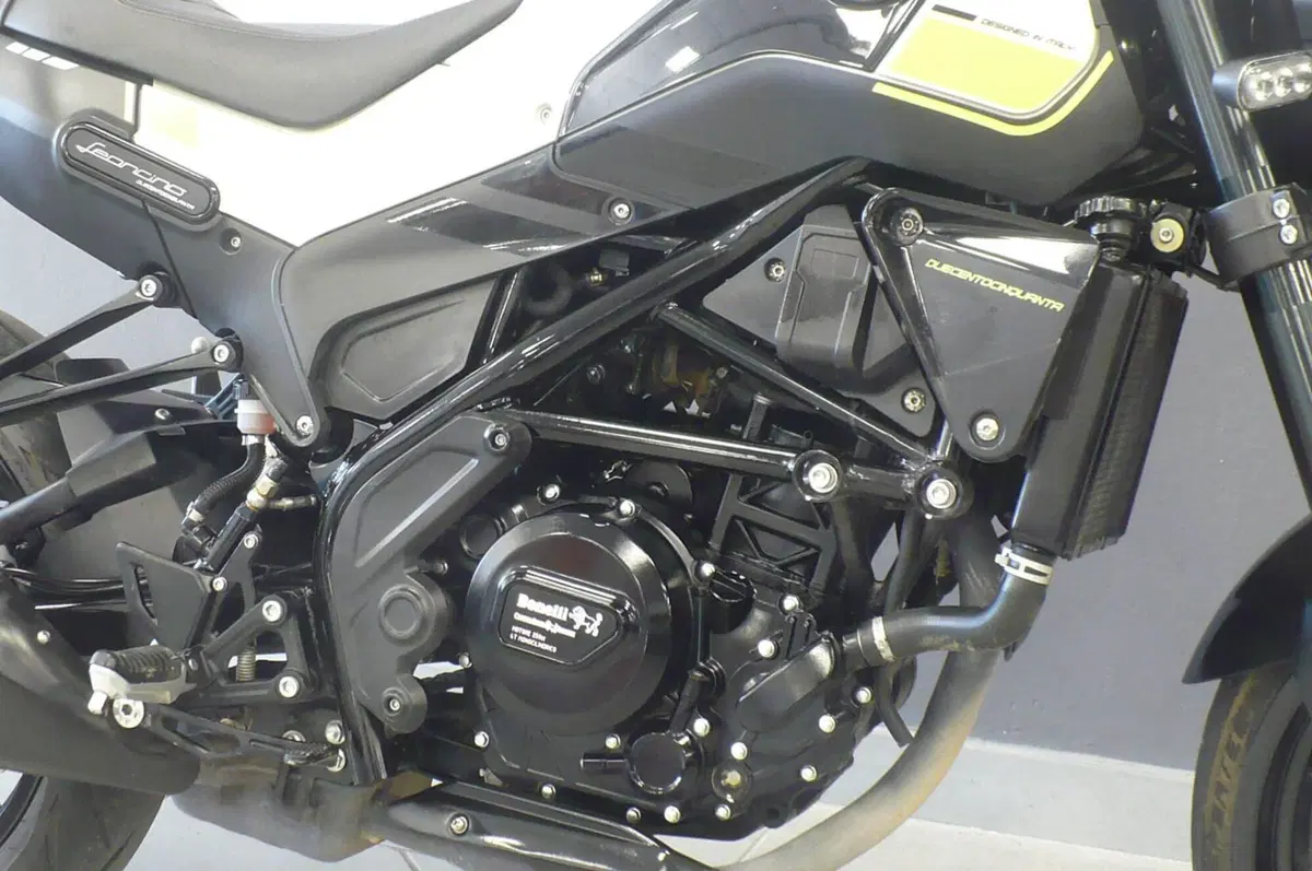 Benelli Leoncino 250 (2019 - 20) (5)