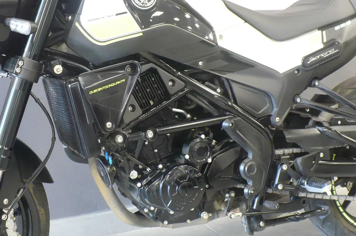 Benelli Leoncino 250 (2019 - 20) (6)