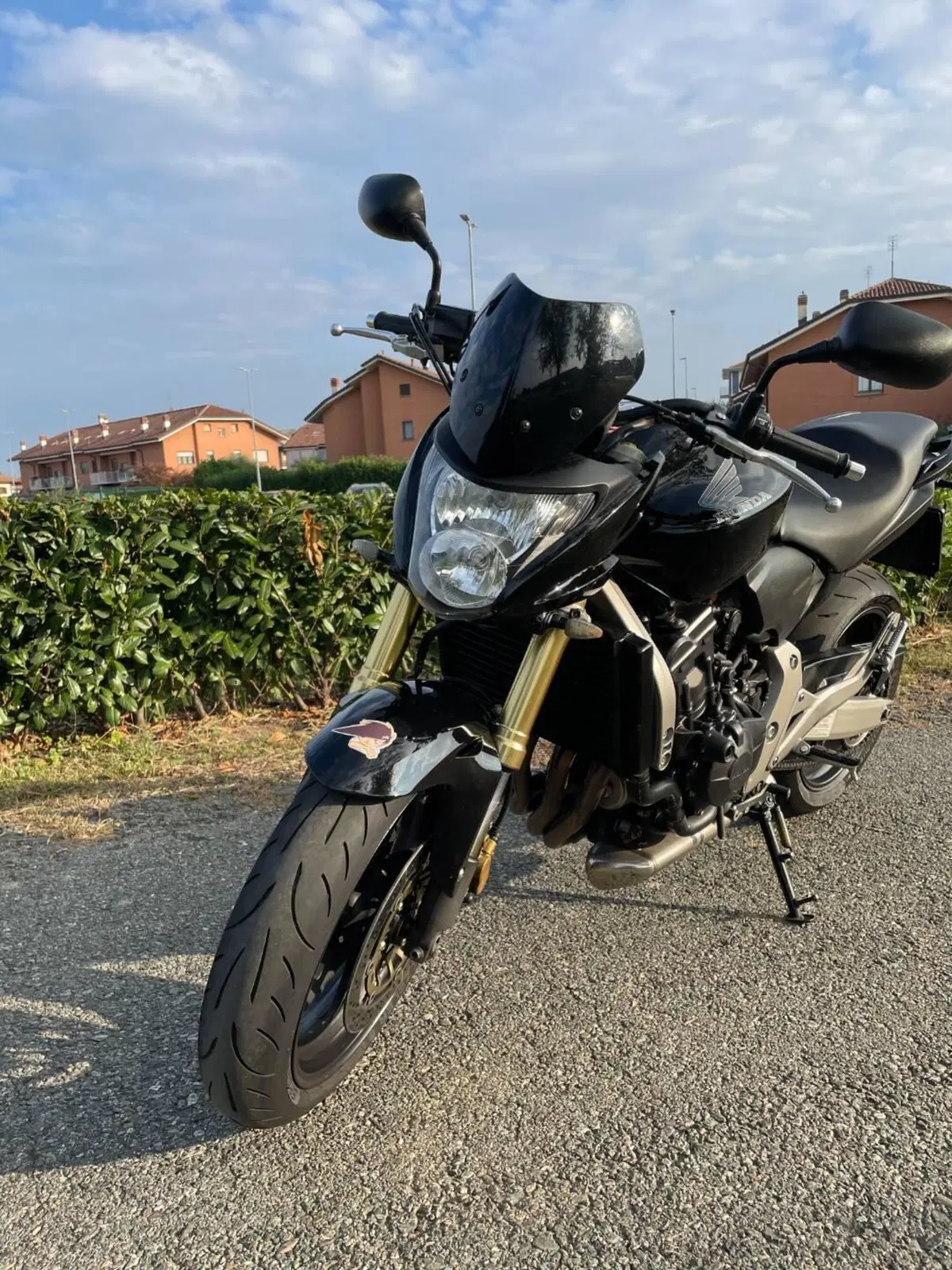 Honda Hornet 600 (2007 - 10) (4)