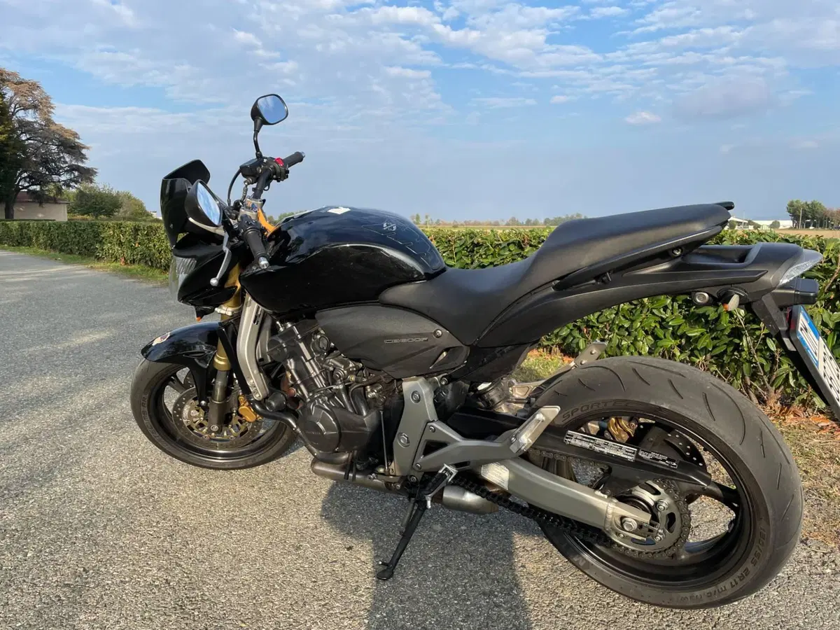 Honda Hornet 600 (2007 - 10) (6)