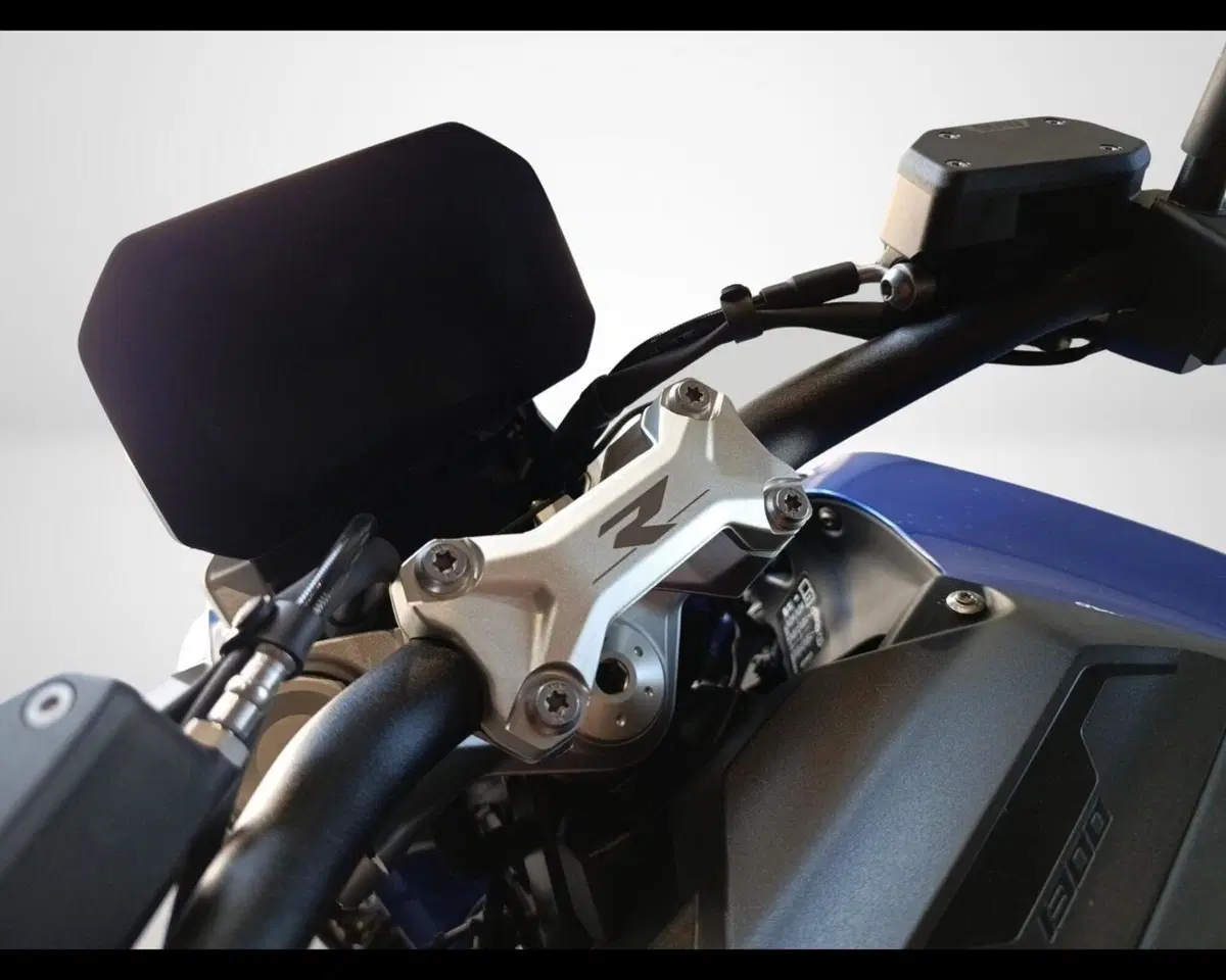 Bmw R 1300 R (2026 - 27) (14)