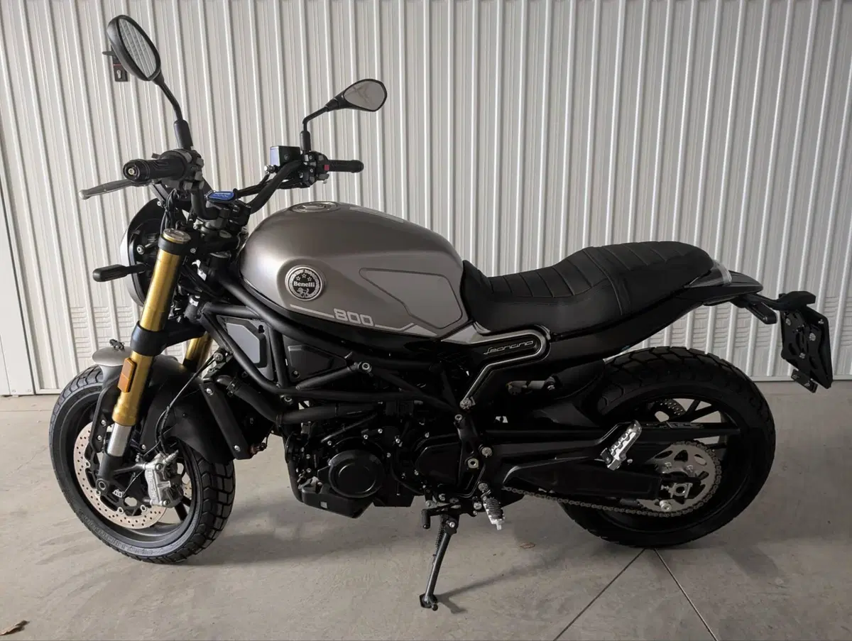 Benelli Leoncino 800 (2022 - 26)