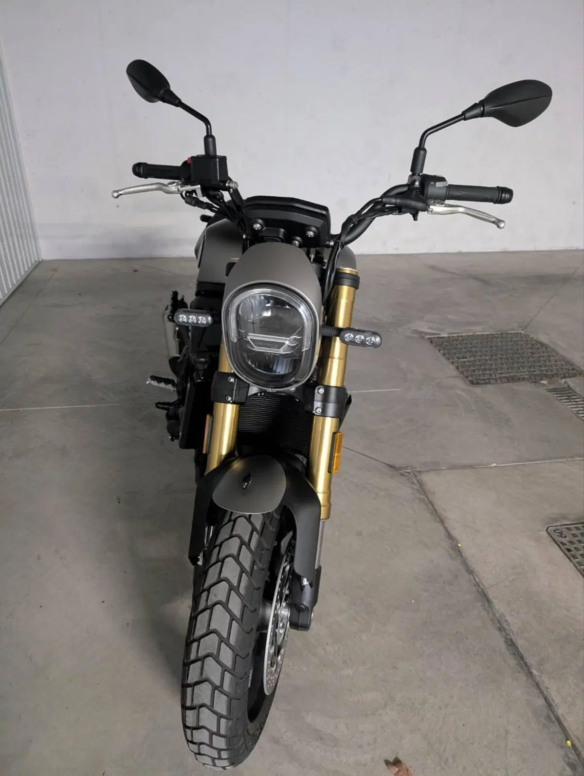Benelli Leoncino 800 (2022 - 26) (6)