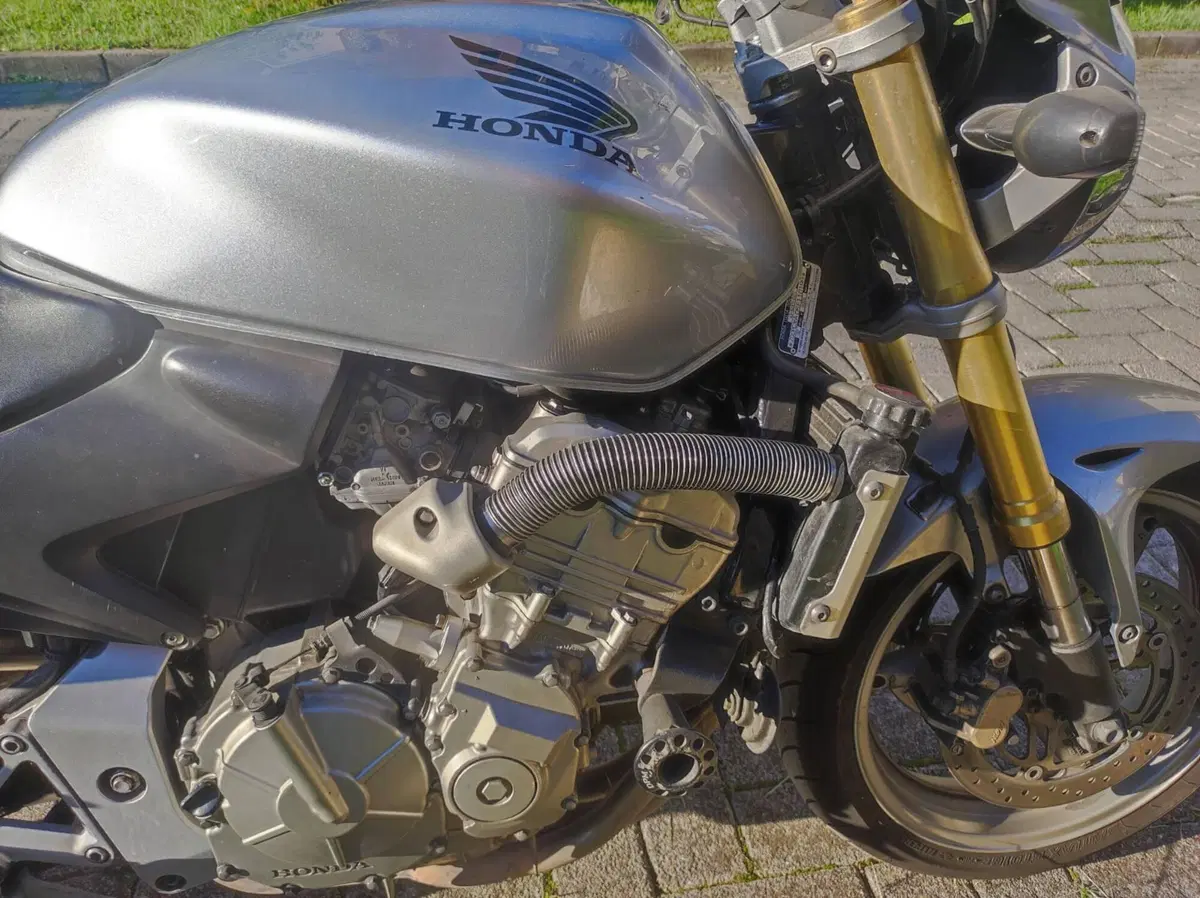 Honda Hornet 600 (2005 - 06) (5)