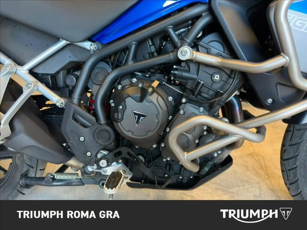 Triumph Tiger 900 GT Pro (2020 - 23) (6)
