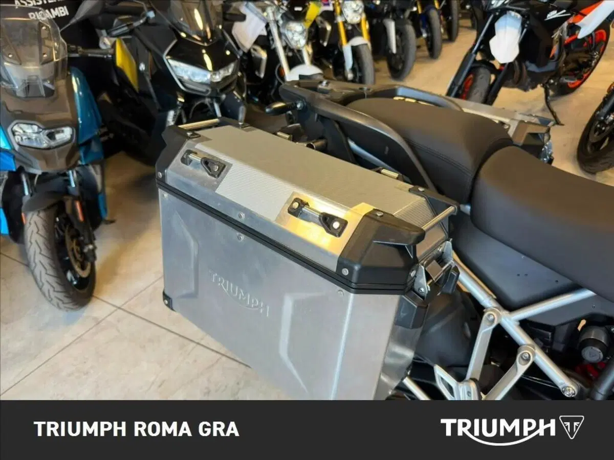 Triumph Tiger 900 GT Pro (2020 - 23) (18)