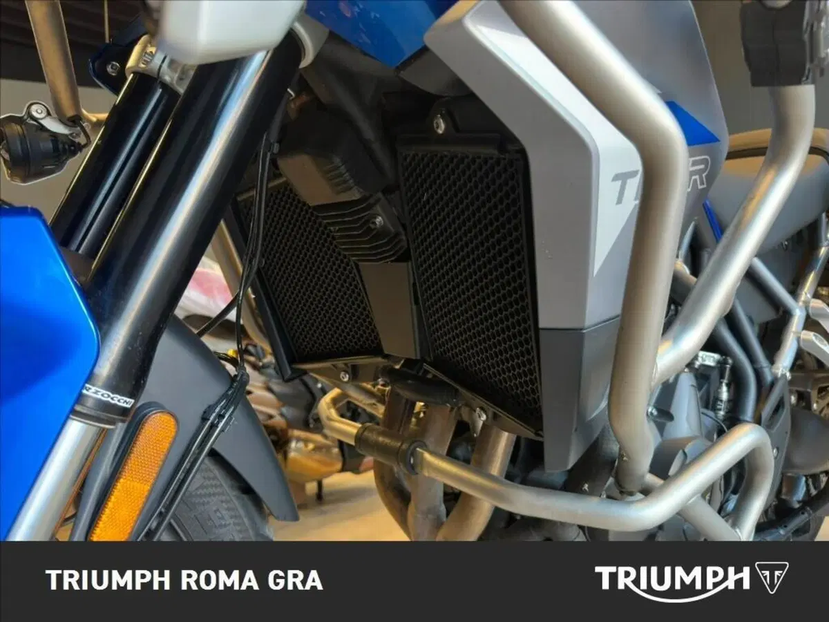 Triumph Tiger 900 GT Pro (2020 - 23) (19)