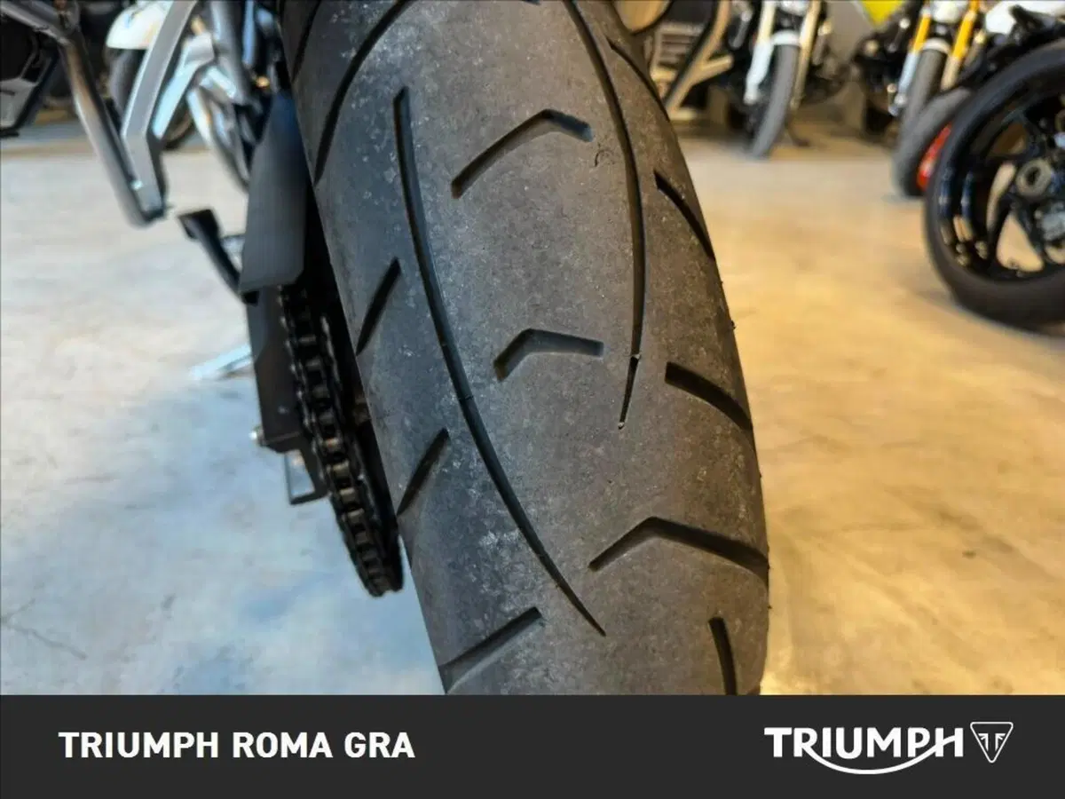 Triumph Tiger 900 GT Pro (2020 - 23) (24)