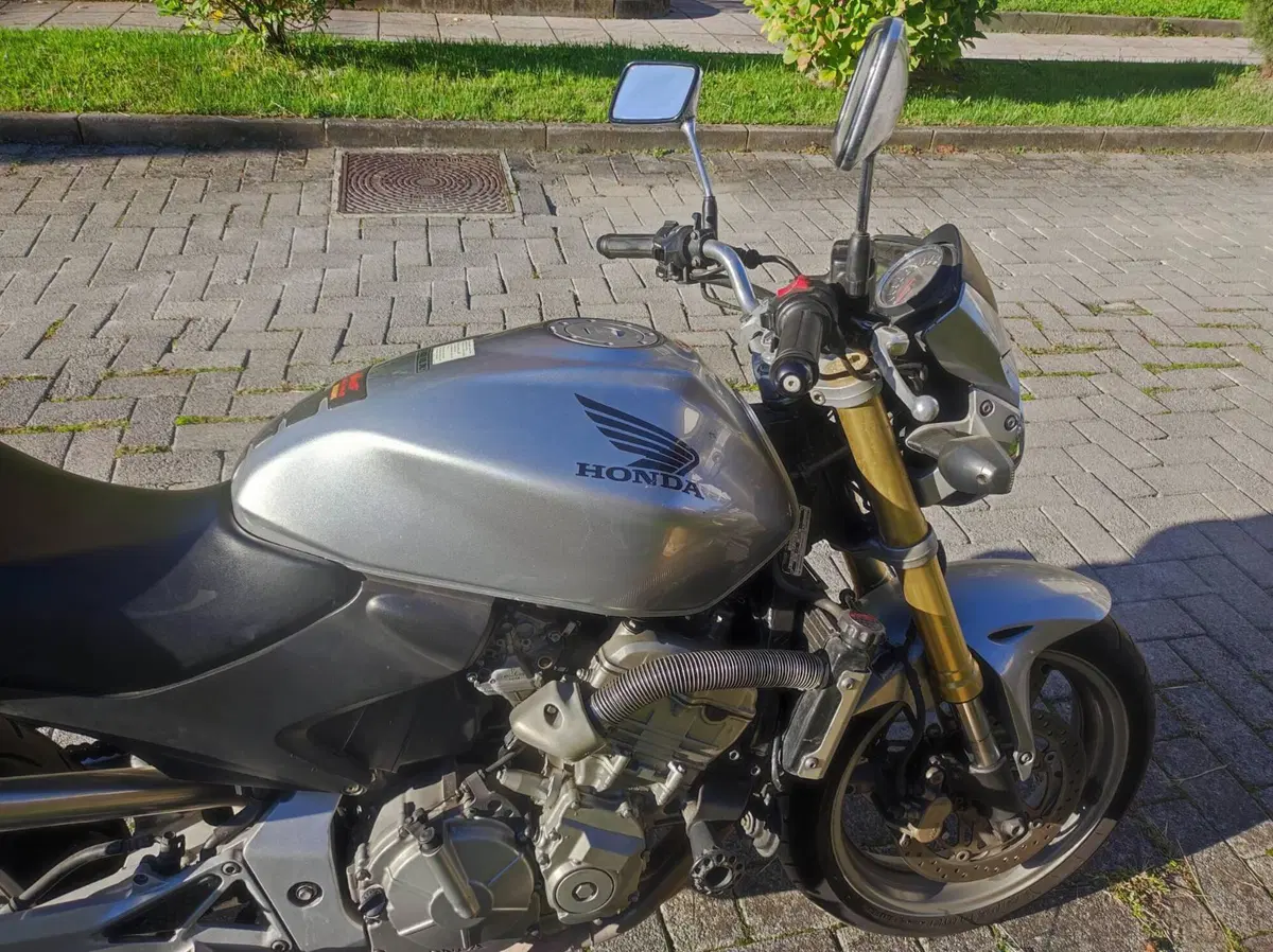Honda Hornet 600 (2005 - 06) (10)