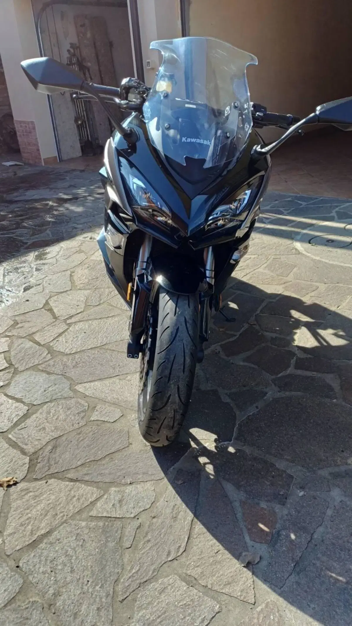 Kawasaki Z 1000 SX (2017 - 20) (3)