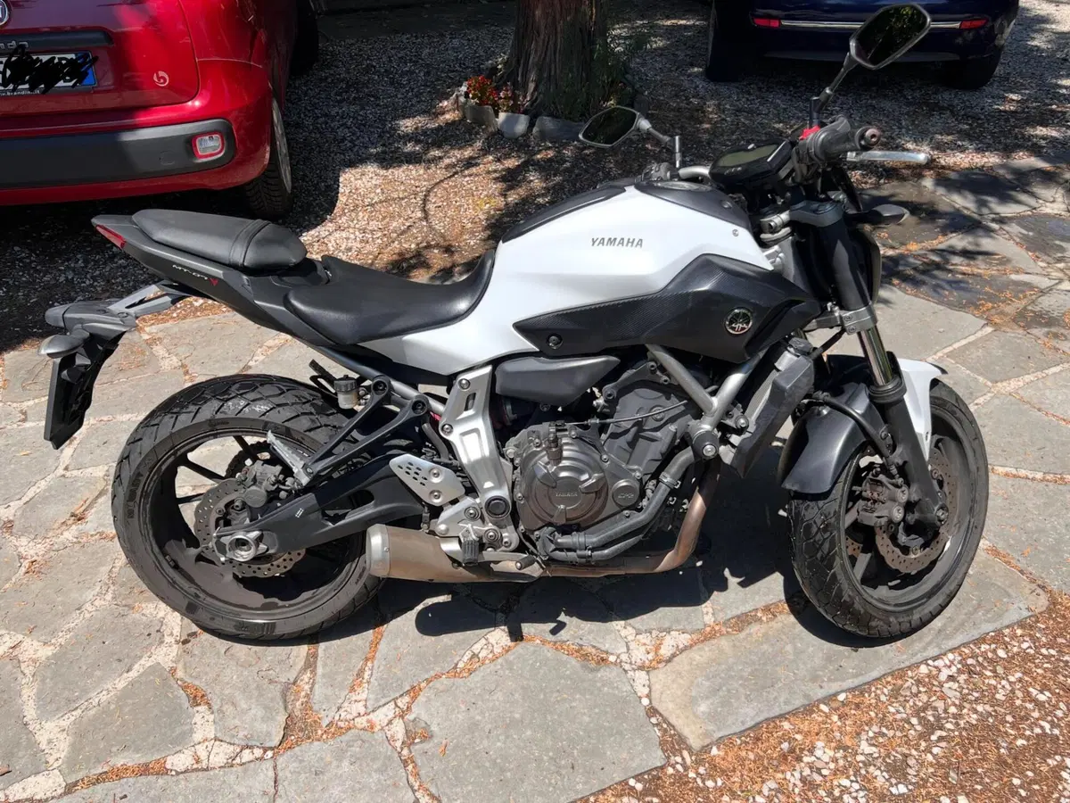 Yamaha MT-07 (2014 - 16) (3)