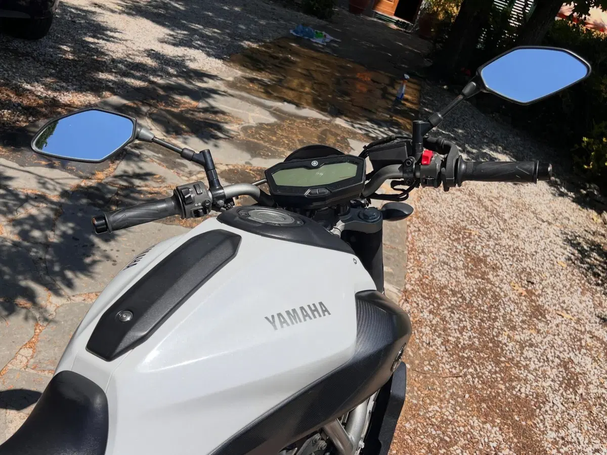 Yamaha MT-07 (2014 - 16) (4)