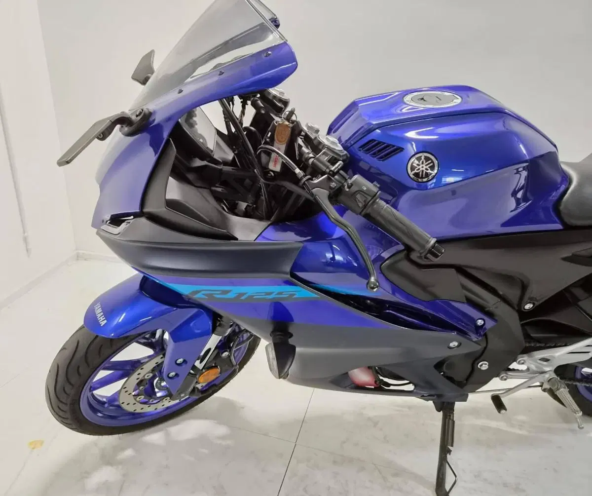 Yamaha YZF R125 (2023 - 26) (7)