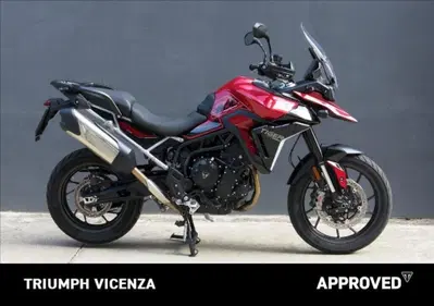 Triumph Tiger 900 GT Pro (2024 - 26) usata