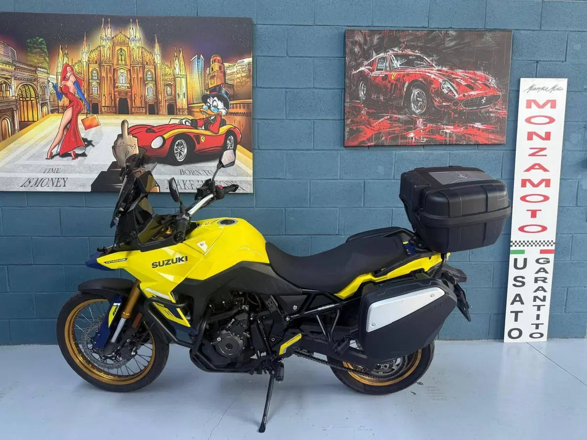Suzuki V-Strom 800DE (2023 - 24) (6)